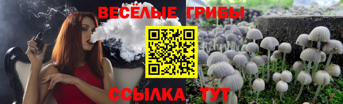наркота  Вход с VPN  Фрязино  Псилоцибиновые грибы Magic Shrooms 